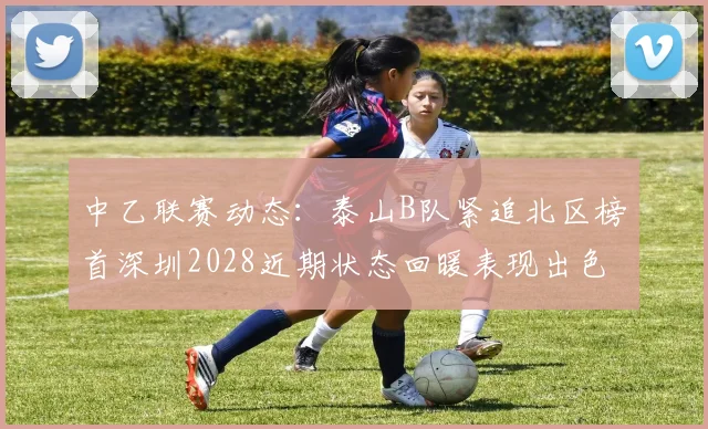 中乙联赛动态：泰山B队紧追北区榜首深圳2028近期状态回暖表现出色