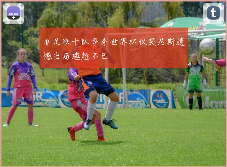 非足联十队争夺世界杯仅突尼斯遗憾出局尴尬不已