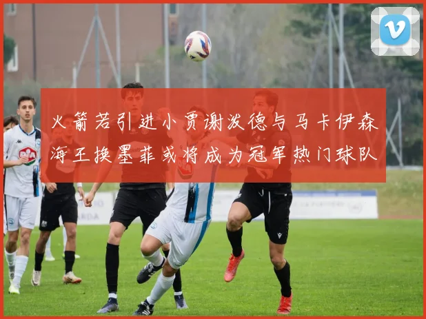 火箭若引进小贾谢泼德与马卡伊森海王换墨菲或将成为冠军热门球队